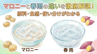 マロニーと春雨の違いを徹底解説！原料・食感・使い分けがわかる